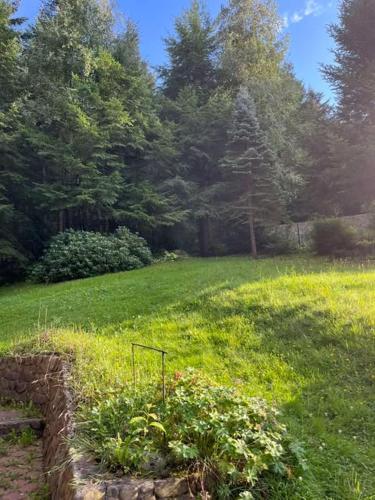 a garden in a field with trees and grass at Chata pod lasem in Myślenice