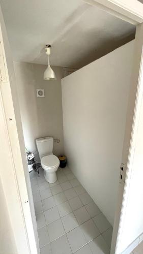 a bathroom with a toilet in a room at LES GITES DE LA RESERVE in Bouillante
