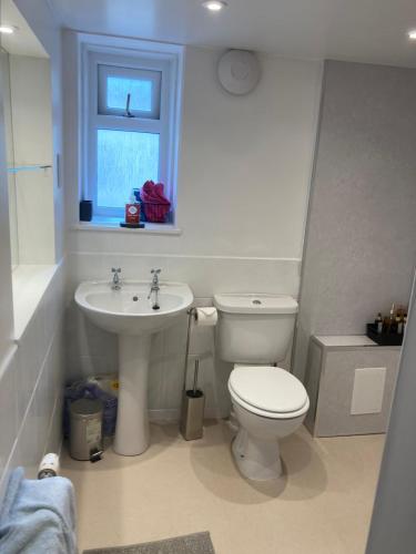 a bathroom with a white toilet and a sink at The Bunker, Golf Cottage in Prestwick