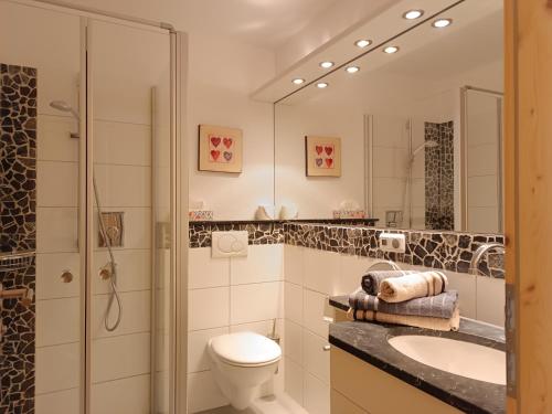 a bathroom with a toilet and a sink and a shower at 2-Raum FeWo Alpenveilchen - Hallenbad & Sauna in Fischen