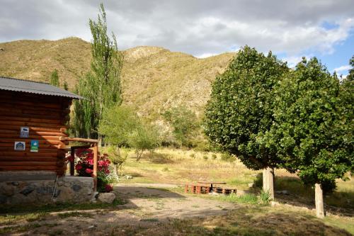 a log cabin with a tree and a bench at Kpriccio Cabanas in Potrerillos