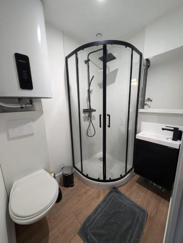 une salle de bain avec une douche, des toilettes et un lavabo dans l'établissement L'Exotic - Studio Centre-Ville, à Niort