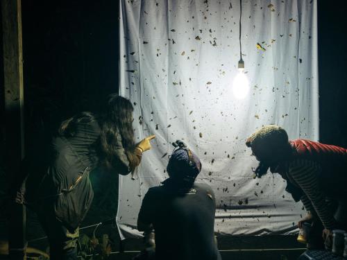 a group of people standing around a climbing wall at Tambopata Research Center in Tambopata