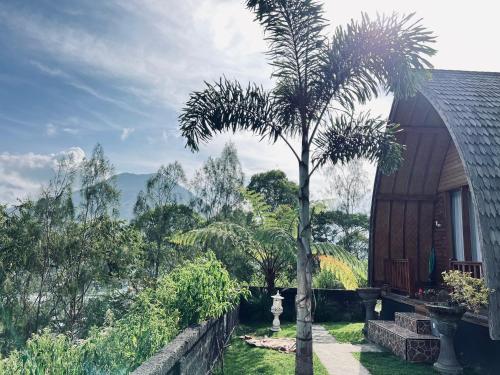a palm tree in a yard next to a house at Pondok Bulan Lake View in Kintamani