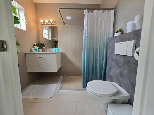 a bathroom with a toilet and a blue shower curtain at Bubali Residence in Palm-Eagle Beach
