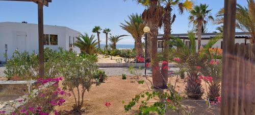 Gallery image of Vilas Praia de Chaves - sol y mar STANDART in Rabil