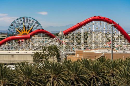 a roller coaster at a theme park with palm trees at The Westin Anaheim Resort in Anaheim