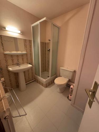 une salle de bain avec toilettes, douche et lavabo dans l'établissement T3 Praloup proche des Tennis, à Uvernet
