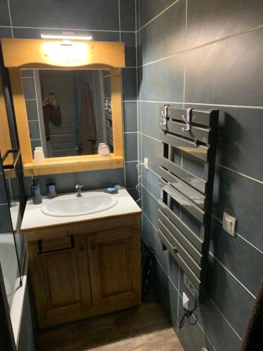 une salle de bain avec un lavabo et un miroir dans l'établissement T1 La marmotte Saint Sorlin d'Arves, à Saint-Sorlin-dʼArves