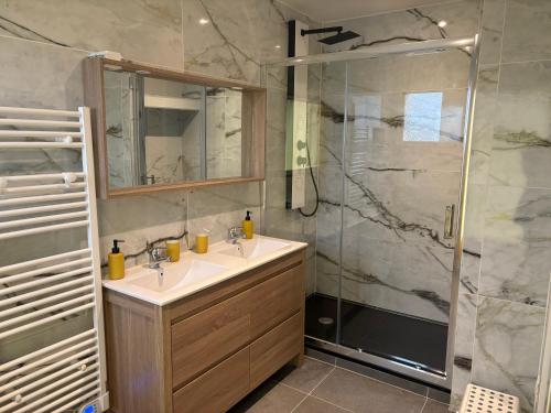 une salle de bain avec un lavabo et une douche dans l'établissement Maison à la campagne, à Saint-Thibault