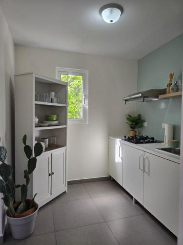 a kitchen with white cabinets and a potted plant at Bubali Residence in Palm-Eagle Beach