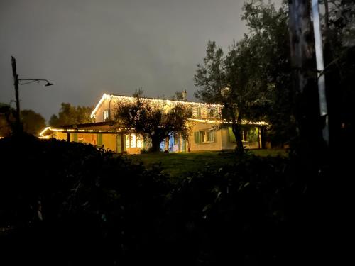 Vonkajšia záhrada v ubytovaní Gli olivi