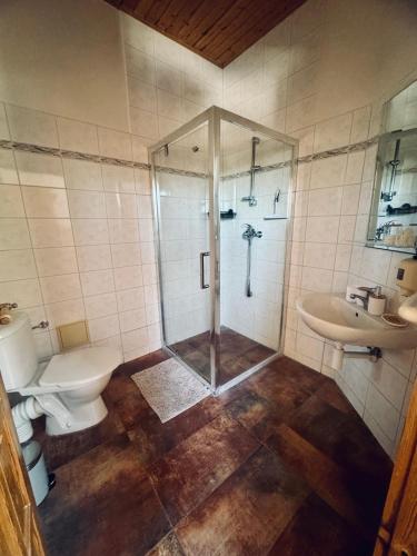 a bathroom with a shower and a toilet and a sink at Penzion Berany in Jablonec nad Nisou