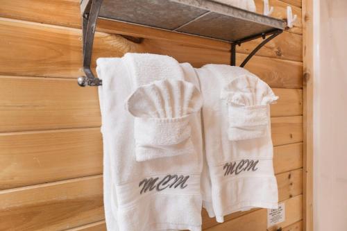 Ryes and Shine Bootlegger's Cabin! Hot Tub* Pool* Arcade* Billiards *EV * Pet Friendly photo 33