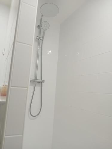 a shower with a shower head in a bathroom at Le Moulin des Roses in Neslette