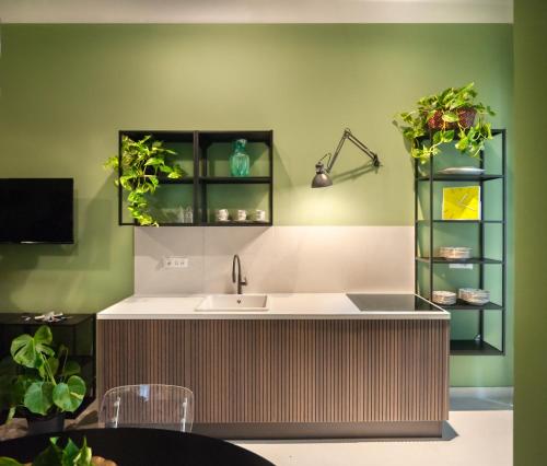 a kitchen with a sink and some plants at MONART HOSPITALITY Vesuvio Park in Ottaviano