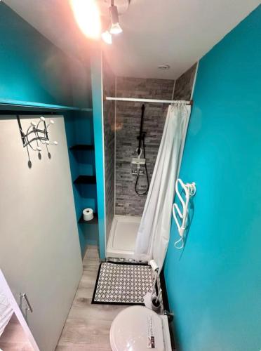 La petite salle de bains est pourvue d'une douche et d'un lavabo. dans l'établissement Bugle, à Saumur
