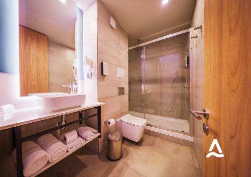 a bathroom with a toilet and a sink and a shower at Almasur Providencia in Santiago