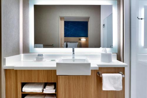 SpringHill Suites by Marriott Cottonwoodにあるバスルーム