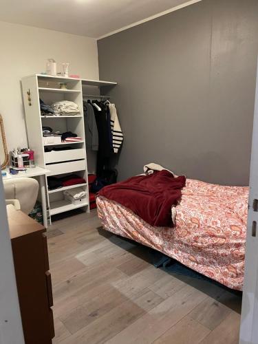 - une chambre avec un lit et un placard blanc dans l'établissement Petit appartement atypique, à Tousson