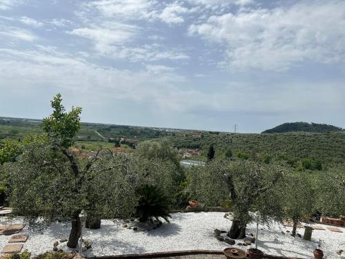 a view of a garden with trees and a hill at Agrihome Di Alberto Giuseppe Gulotta B&B Bella Vista Appartamento Salvia in Massarosa