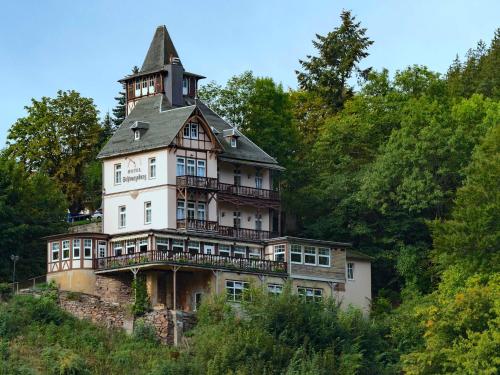 Photo de la galerie de l'établissement Hotel SchwarzaBurg, à Schwarzburg