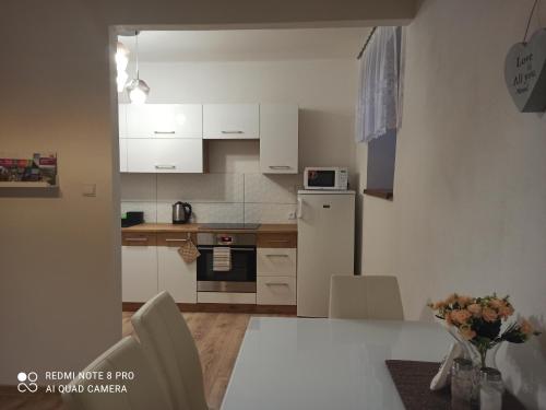 Una cocina o zona de cocina en All you need in Decin I cykling trail