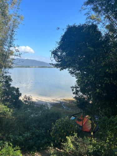 a view of a body of water with a tree at Lagoa Hospedaria in Imbituba