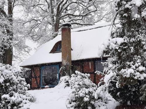 Το Traumhaftes Reetdachhaus "Grote Eken" in der Lüneburger Heide τον χειμώνα