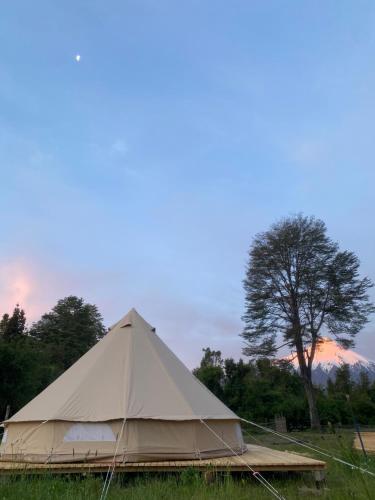 ラ・エンセナダにあるGlamping peumayenの木の木の入った大きな日焼けテント