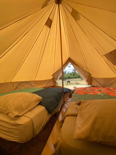 ラ・エンセナダにあるGlamping peumayenのテント ベッド2台付