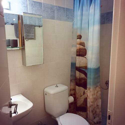 a bathroom with a toilet and a shower at Stelios apartment 2 in Chios