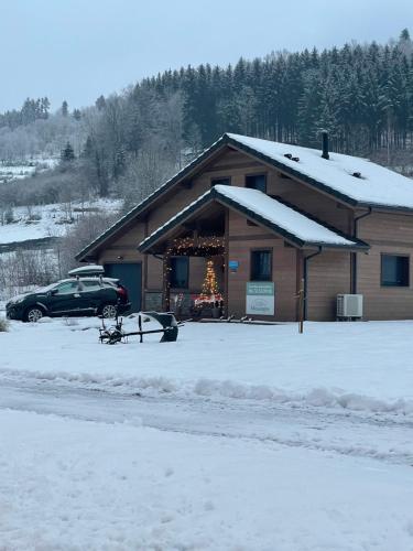 a house with a christmas tree in front of it at Chalet cosy 4 étoiles le Domaine Des Mésanges in Plainfaing