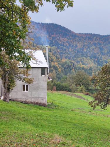 Paisaje cerca de este hostal o pensión