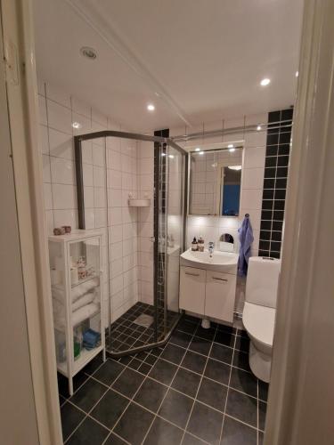 a bathroom with a toilet and a sink at Central lägenhet i Visby -4 person inkl parkering in VBY