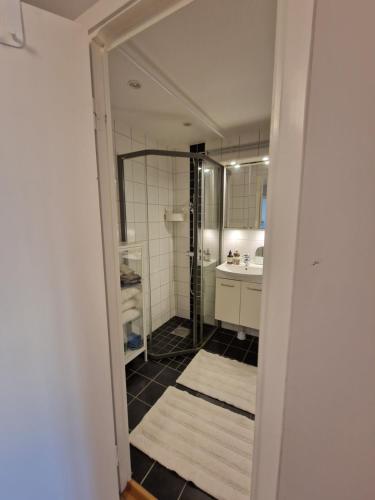 a bathroom with a shower and a sink at Central lägenhet i Visby -4 person inkl parkering in VBY