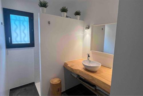 une salle de bain avec un lavabo et un miroir dans l'établissement villa du lac, à Aiguebelette-le-Lac