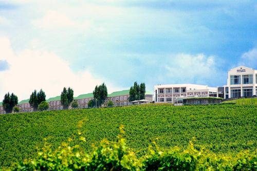 a large building on top of a green field at Protea Hotel by Marriott Stellenbosch & Conference Centre in Stellenbosch
