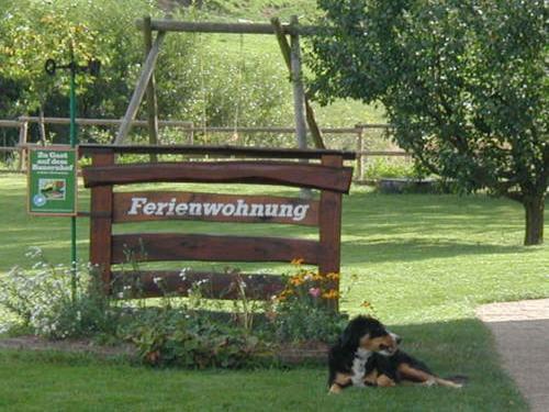 ein Hund im Gras neben einem Schild in der Unterkunft Ferienwohnung Armbruster in Sankt Georgen im Schwarzwald