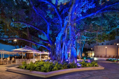 a large tree with blue lights on it at night at Moana Surfrider, A Westin Resort & Spa, Waikiki Beach in Honolulu