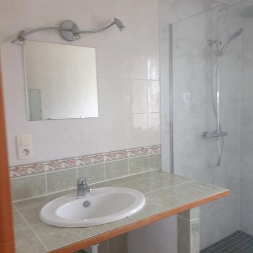 une salle de bain avec un lavabo et une douche avec un miroir dans l'établissement Appartement en campagne, à Taurignan-Castet