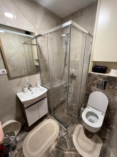 Un baño con ducha, inodoro y lavabo. en Apartman Vidik Spa & Gym Zlatibor, en Zlatibor