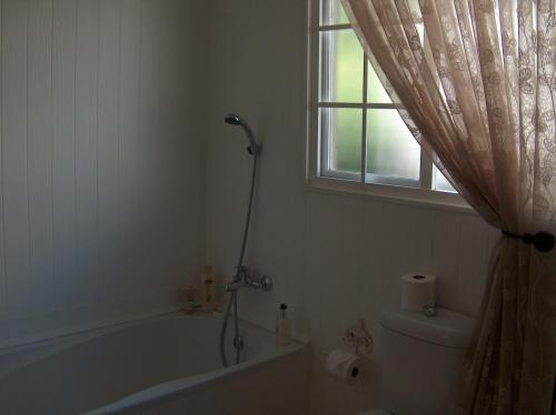 Un baño con bañera, inodoro y ventana. en The Courtyard Guest House, en Clarens