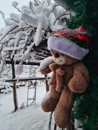 two teddy bears are attached to a christmas tree at Bukovički mir in Arandjelovac