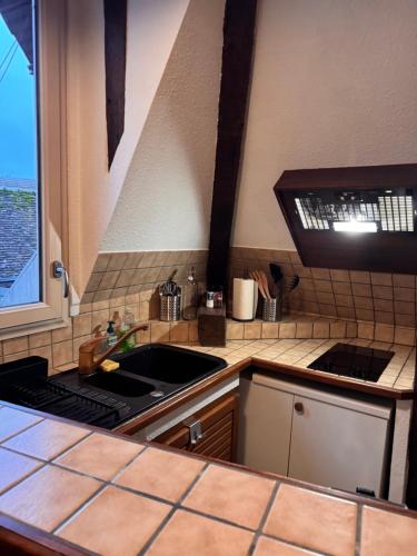 une cuisine avec un évier et un plan de travail dans l'établissement L'Atelier - Logis d'artiste - Centre historique, à Troyes