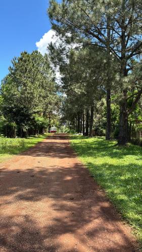 a dirt road with trees on the side of it at Casa Barrio del Lago in Garupá