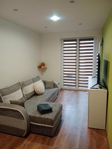 Una sala de estar con un sofá y un televisor de pantalla plana. en Przemyśl - centrum, en Przemyśl
