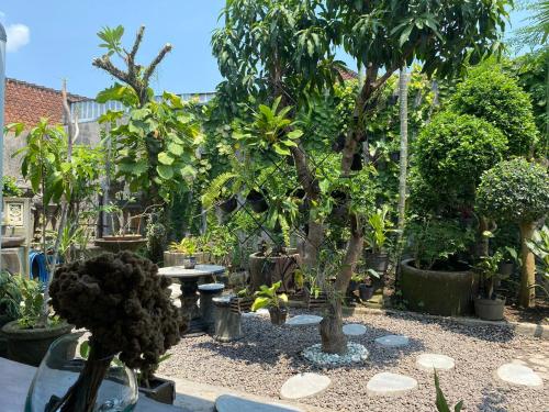 a garden with a bunch of trees and plants at Coliving Bali SWEET HOME Kost Lengkap di Tabanan Kota in Tabanan