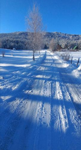 a snow covered road with a tree in the middle at Chalet Čilac in Žabljak