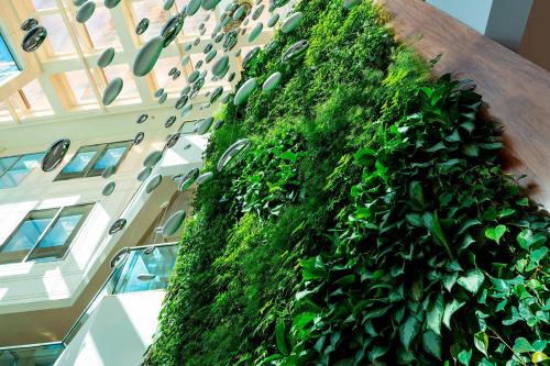 a vertical green wall with plants on a building at The Westin Pittsburgh in Pittsburgh